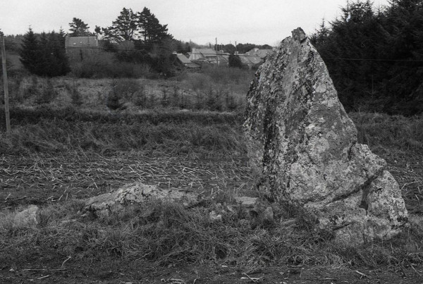 Photo publiée par: https://www.kreizyarcheo.bzh/sites-archeologiques/sites-caracteristiques/menhir-de-rosquinarc-h source : DRAC